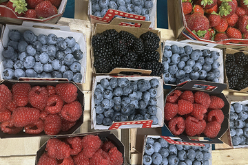 Berries: a precious reserve of antioxidants and more