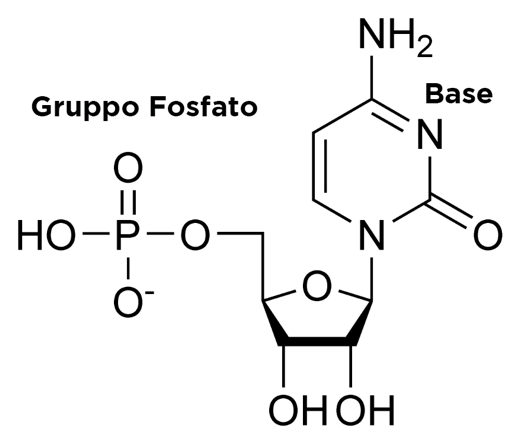 Diagram, schematic

Description automatically generated