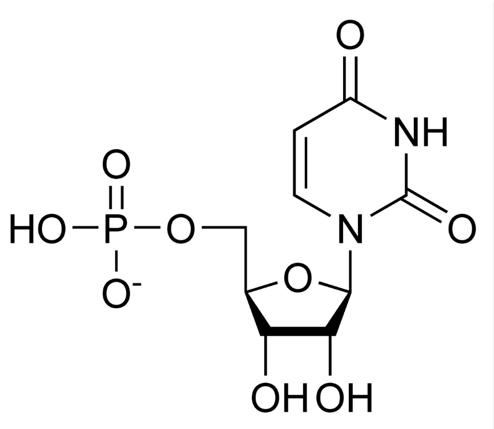 Diagram, schematic

Description automatically generated